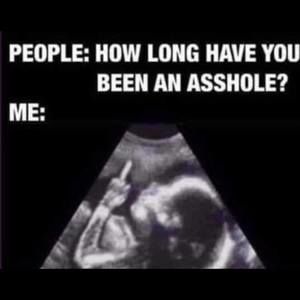 Meet your Posher, Harold